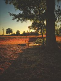 Trees on field against sky during sunset