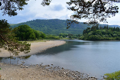 Scenic view of river by trees against sky