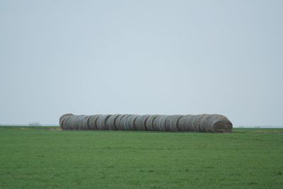 Hay bales arranged on field at farm against clear sky