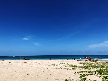 Scenic view of beach against blue sky