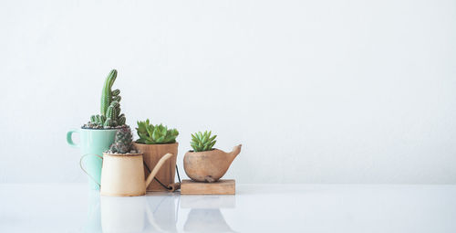 Close-up of potted plant on table against wall