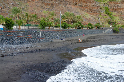 Scenic view of sea