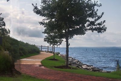 Scenic view of landscape against cloudy sky