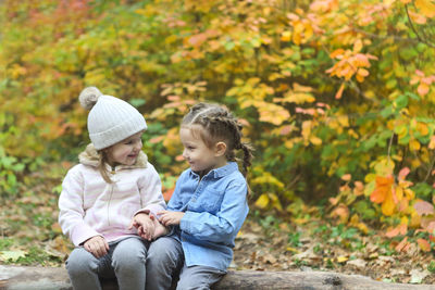 Rear view of friends sitting on autumn leaves