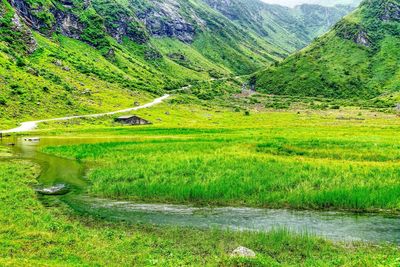 Scenic view of field and mountains