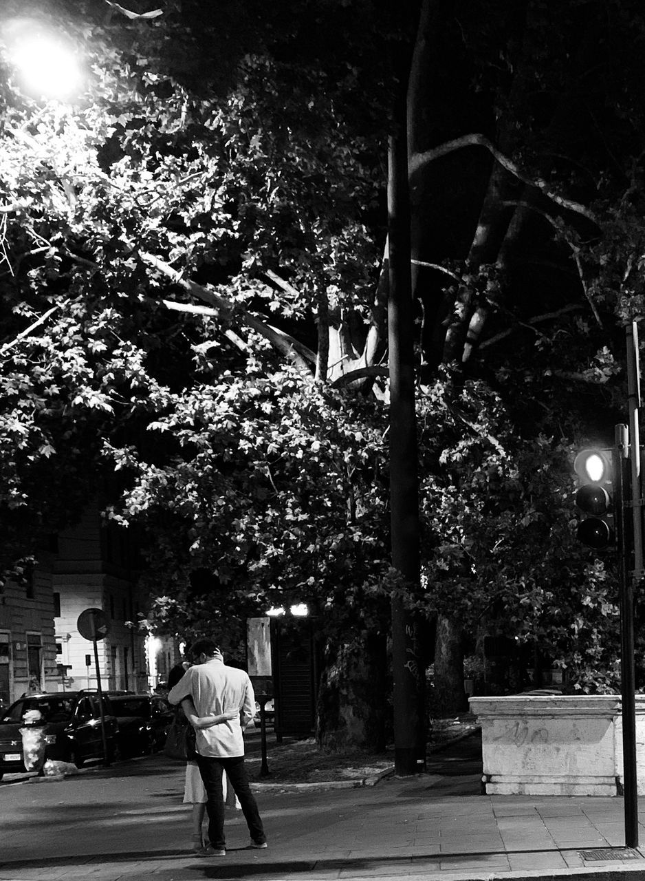 REAR VIEW OF MAN WALKING ON STREET AMIDST TREES AT NIGHT