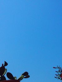 Low angle view of clear blue sky
