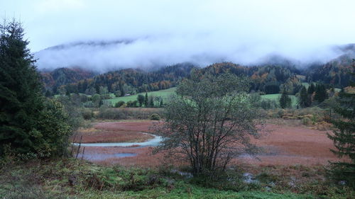 Scenic view of landscape against sky