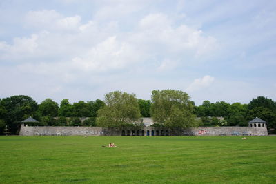 Trees on grassy field