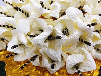 Full frame shot of yellow flowers