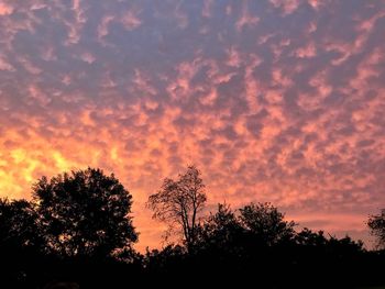 Low angle view of silhouette trees against sky at sunset