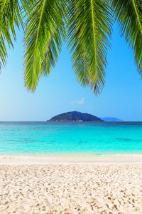 Beautiful beach and blue sky in similan islands, thailand. vacation holidays background wallpaper.