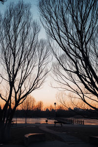 Silhouette bare trees against sky during sunset