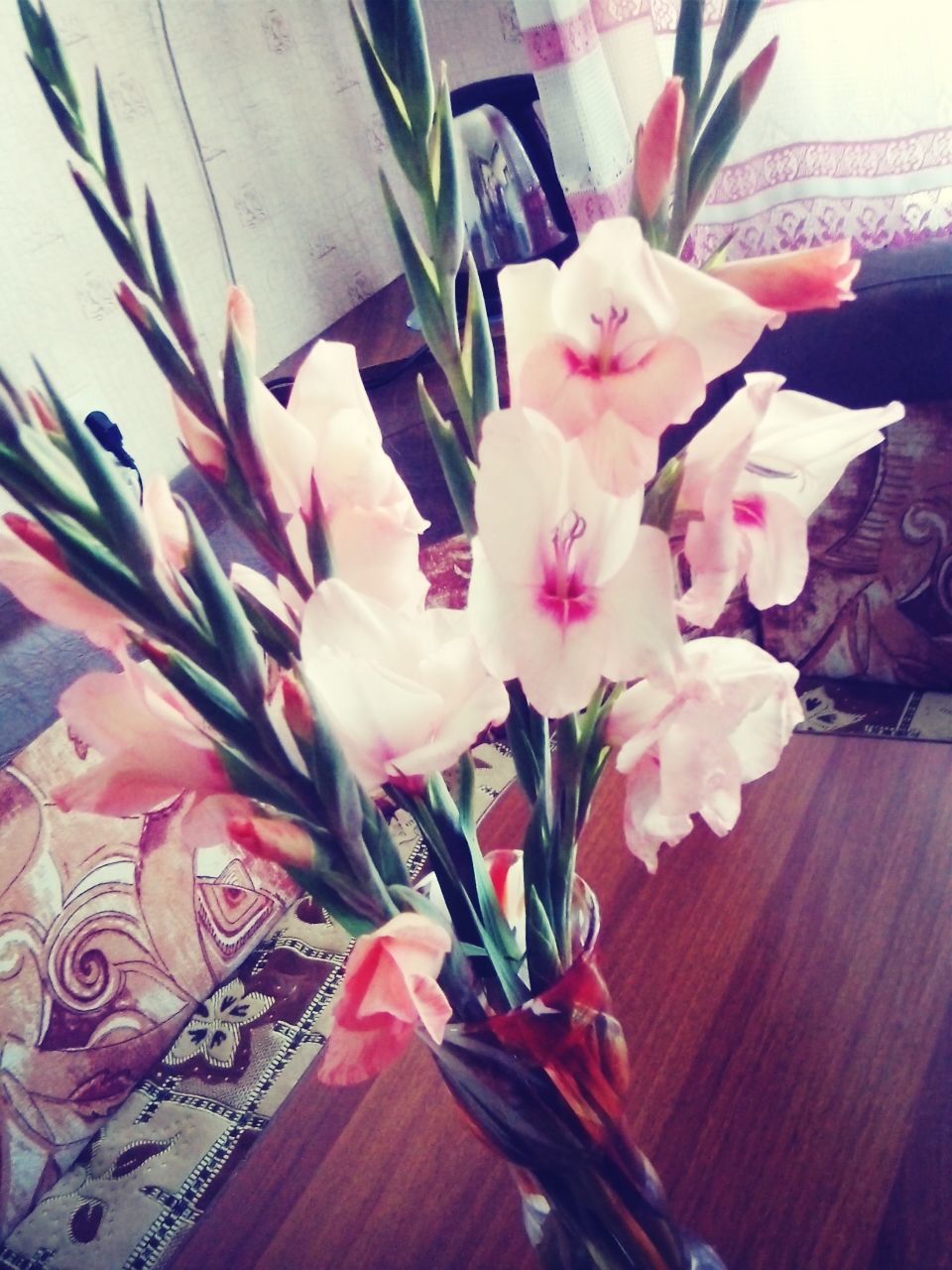 indoors, flower, table, petal, vase, fragility, home interior, freshness, close-up, still life, flower head, high angle view, no people, pink color, beauty in nature, nature, decoration, wood - material, potted plant, bunch of flowers