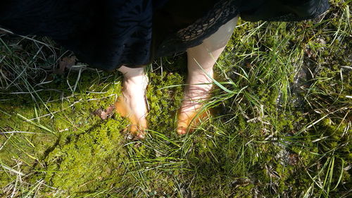 Low section of man standing on grassy field