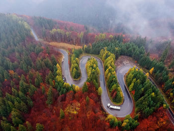 High angle view of road amidst trees in forest