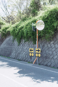 Information sign on road by trees in city