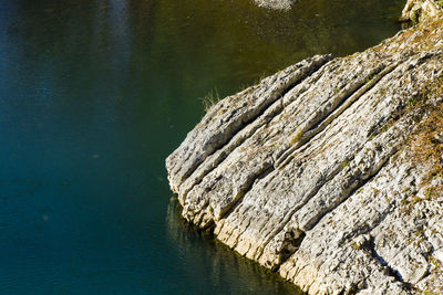 River landscape and view, daylight and outdoor, nature background in georgia