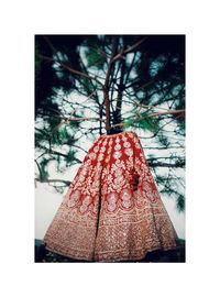 Close-up of christmas decorations hanging on tree