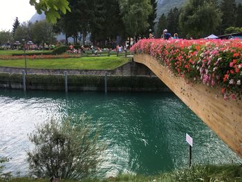 Scenic view of lake in park