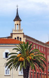 Low angle view of palm trees and building against sky