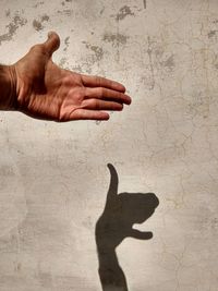 Shadow of people hand on wall