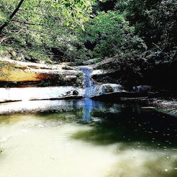 River flowing through rocks