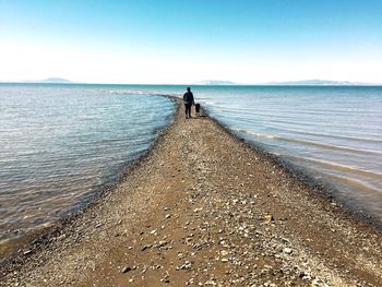 Rear view of man walking on beach against clear sky