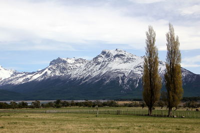 Scenic view of trees on field against sky