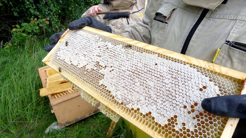 High angle view of man working on food