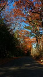 Road passing through forest