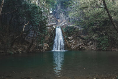 Scenic view of waterfall in forest