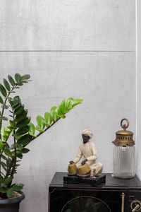 Potted plants on table against wall