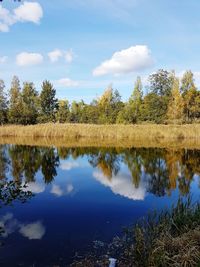 Reflection of trees in calm lake against sky