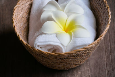 Close-up of white flowers in basket