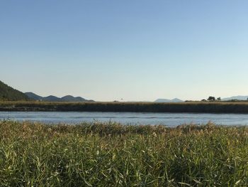 Scenic view of lake against clear sky