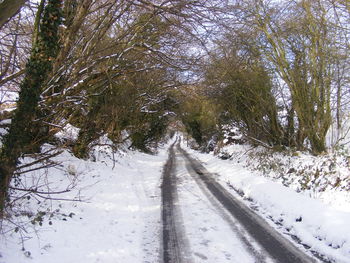 Snow covered trees against sky