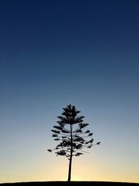 Silhouette tree against clear sky at sunset