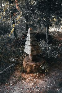 Stack of logs on field in forest