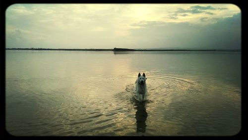 Scenic view of lake against cloudy sky
