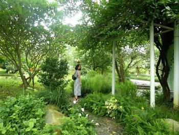 Woman standing amidst trees and plants