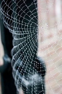 Close-up of spider web against blurred background