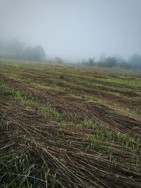 Scenic view of landscape against sky