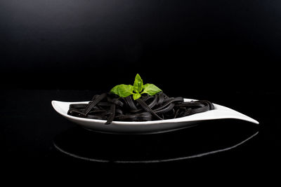 Close-up of small potted plant against black background