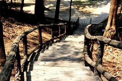 Empty footpath amidst trees