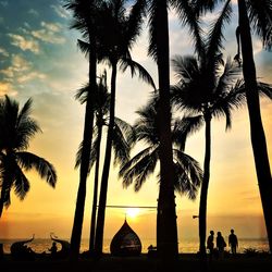 Silhouette of palm trees at sunset