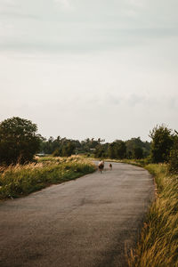 Rear view of people on road amidst field against sky