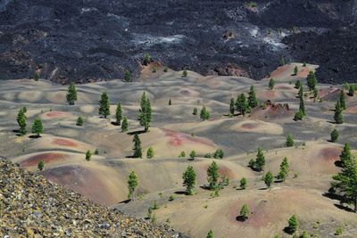 High angle view of trees against river at lassen volcanic national park