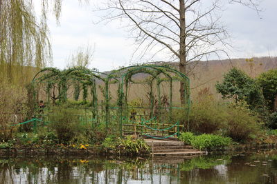 Scenic view of lake by trees against sky