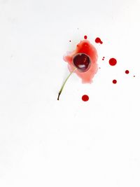 High angle view of red berries over white background